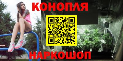 крисы Комсомольск-на-Амуре